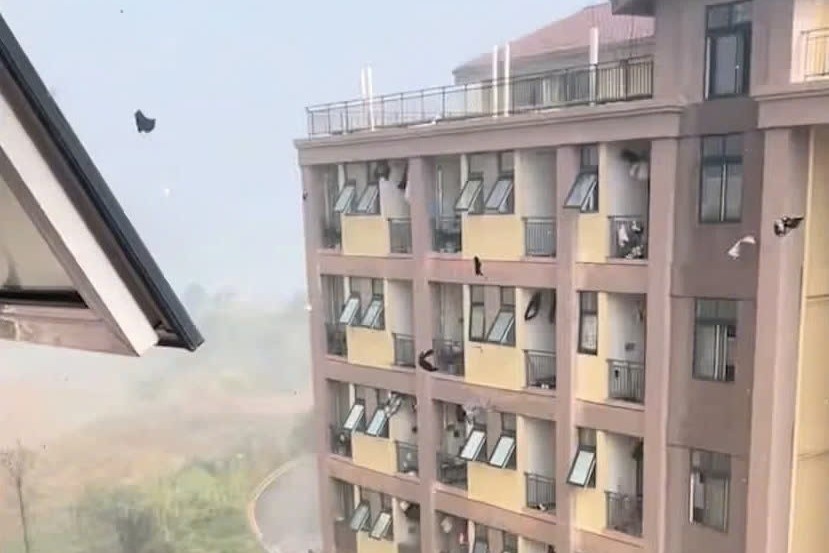 Video con bao la gay sot o Trung Quoc hinh anh