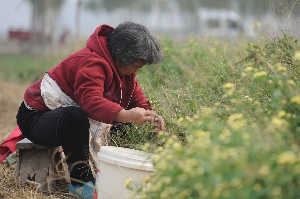 Trung Quoc tang tuoi nghi huu len 5 nam vi ap luc gia hoa dan so hinh anh