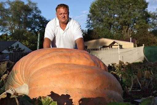 Qua bi ngo hon 1 tan chien thang cuoc thi o My hinh anh