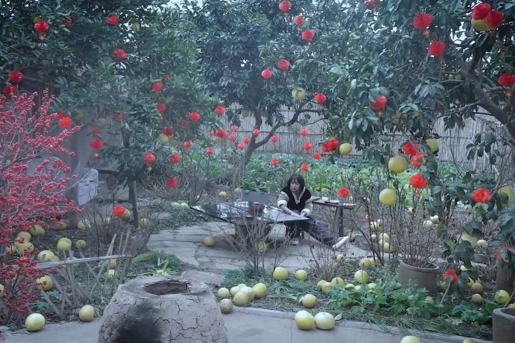 Khung hinh khien Ly Tu That bi to dan canh lam mau hinh anh