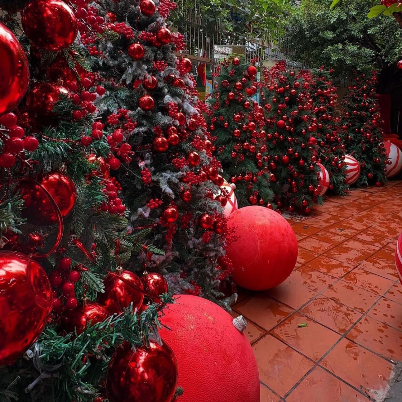 tiệm trà tháng tư ảnh 2 tiem tra thang tu anh 2