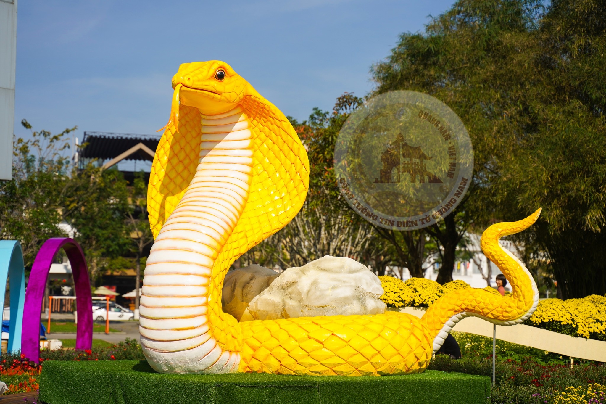 Linh vat ran vang duoc khen 'ngau' o Quang Nam hinh anh