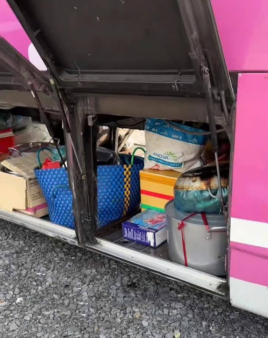 du lich gia dinh anh 1