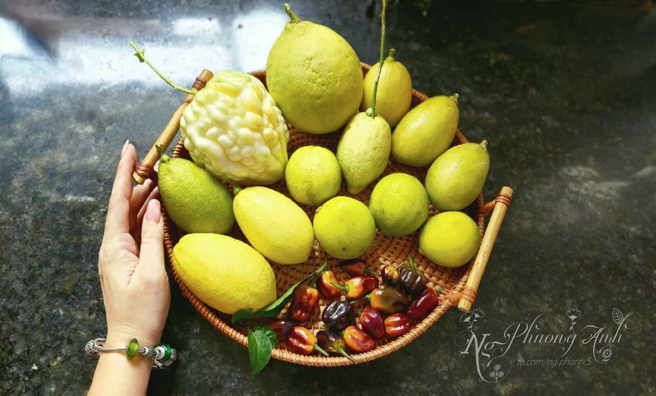 vuon tren san thuong anh 13