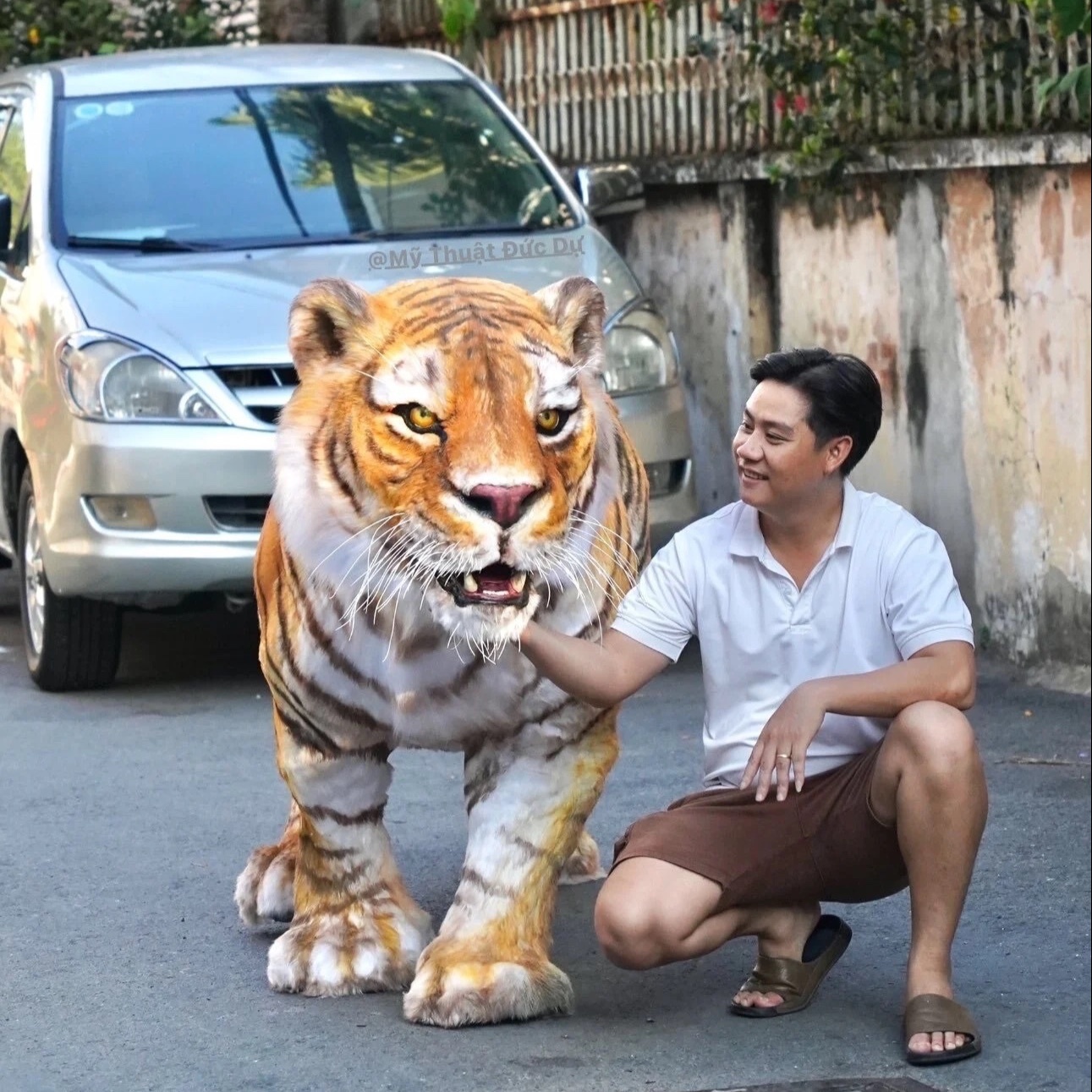 mo hinh ho anh 1