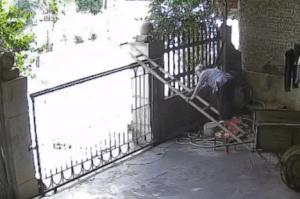 Phia sau video cu ba 90 tuoi o Yen Bai tron con chau treo cong di choi hinh anh