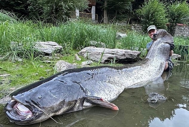 Cau duoc ca tre khong lo dai 2,7 m sau 50 phut 'dau tay doi' hinh anh