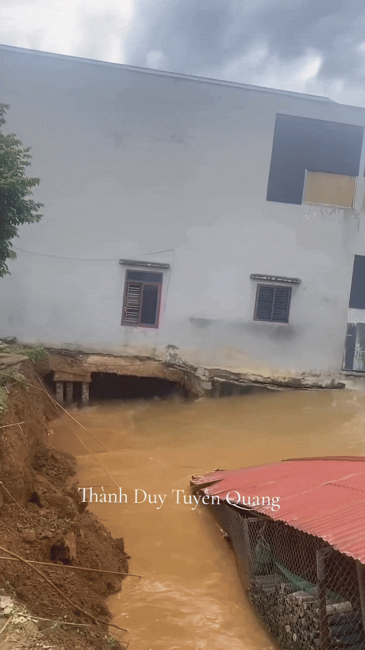 lu cuon troi nha anh 1