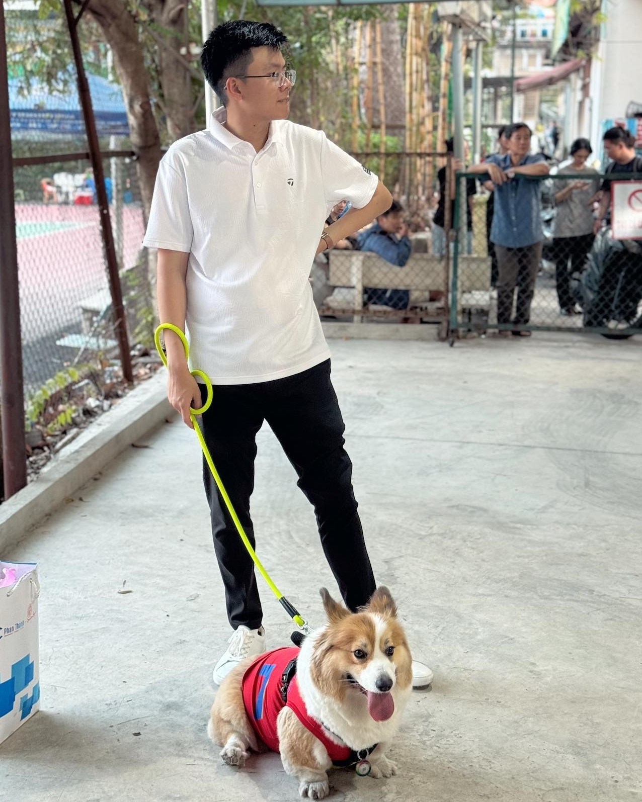 thieu gia phan hoang anh 6