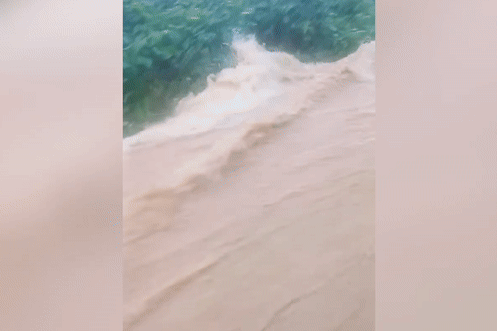 Nuoc lu ao ao nhu thac, 'nuot chung' con duong o Da Nang hinh anh