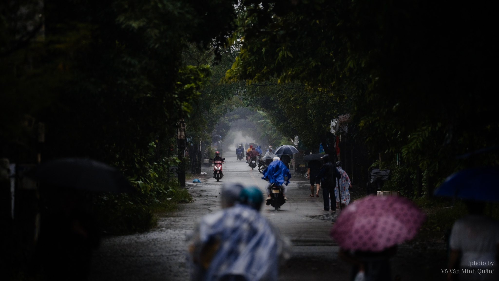 mưa lũ ở Huế ảnh 7 mua lu o Hue anh 7