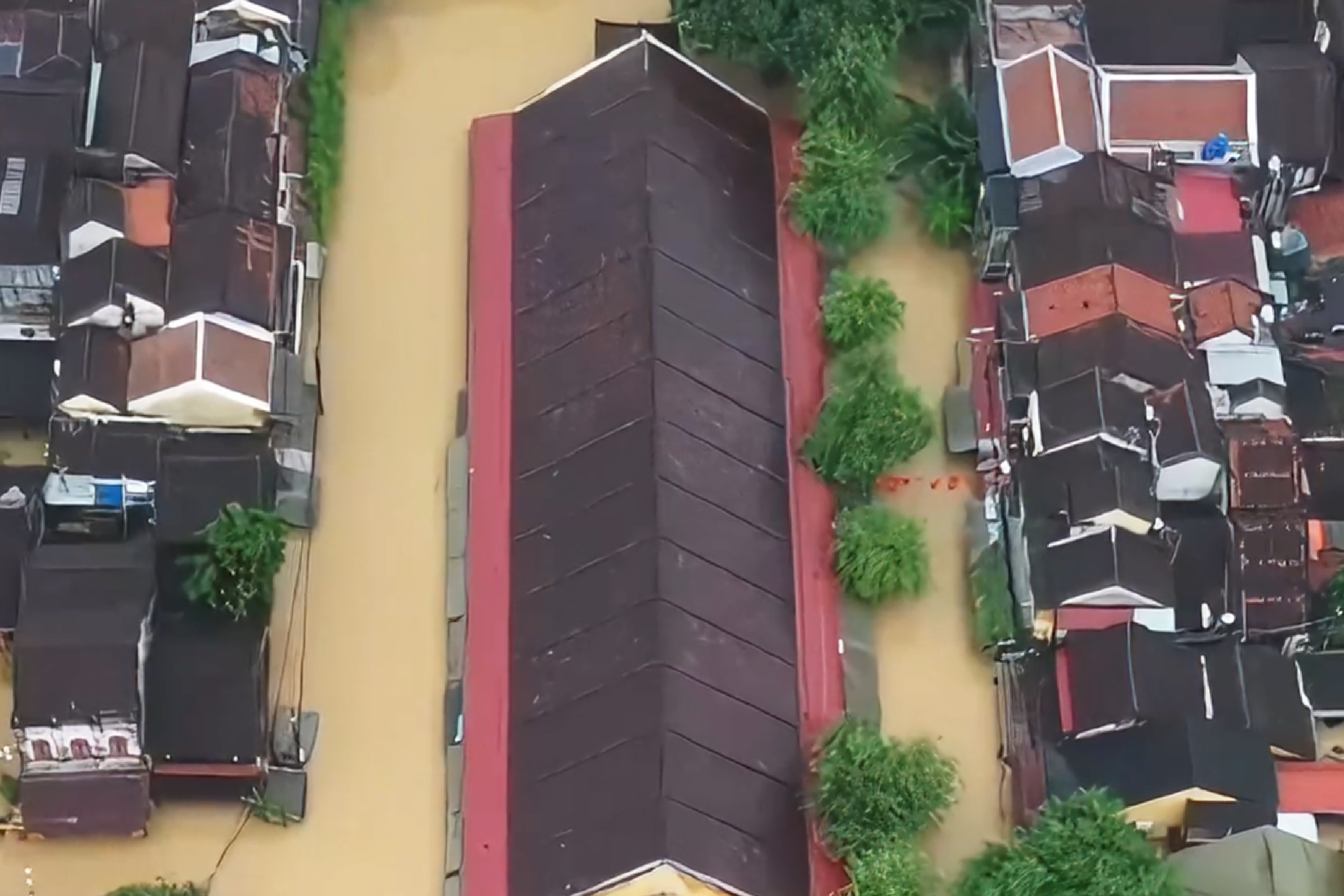Mua lon keo dai, cho Hoi An ngap toi noc hinh anh