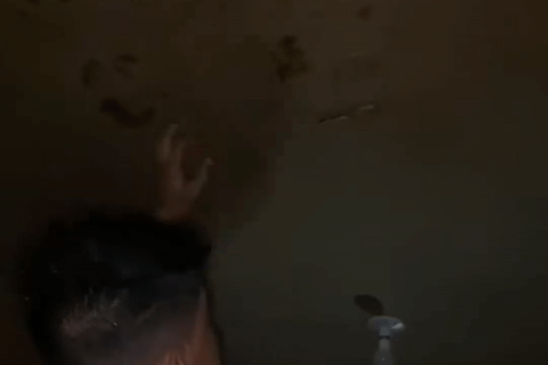 Dam thung tran, dua ca nha chay thoat trong bao Kalmaegi o Philippines hinh anh