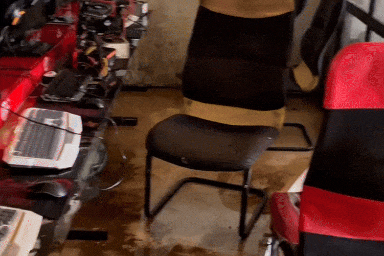 Lu danh sap cua, nhan chim quan net 30 dan may o Lam Dong hinh anh