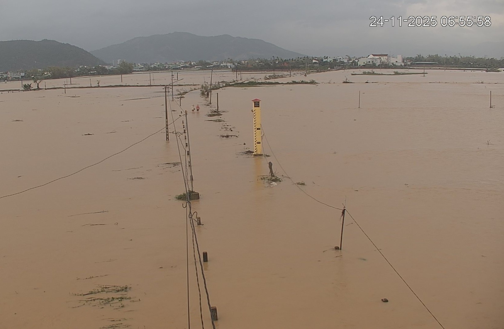 Quy Nhon lai chim trong bien nuoc hinh anh