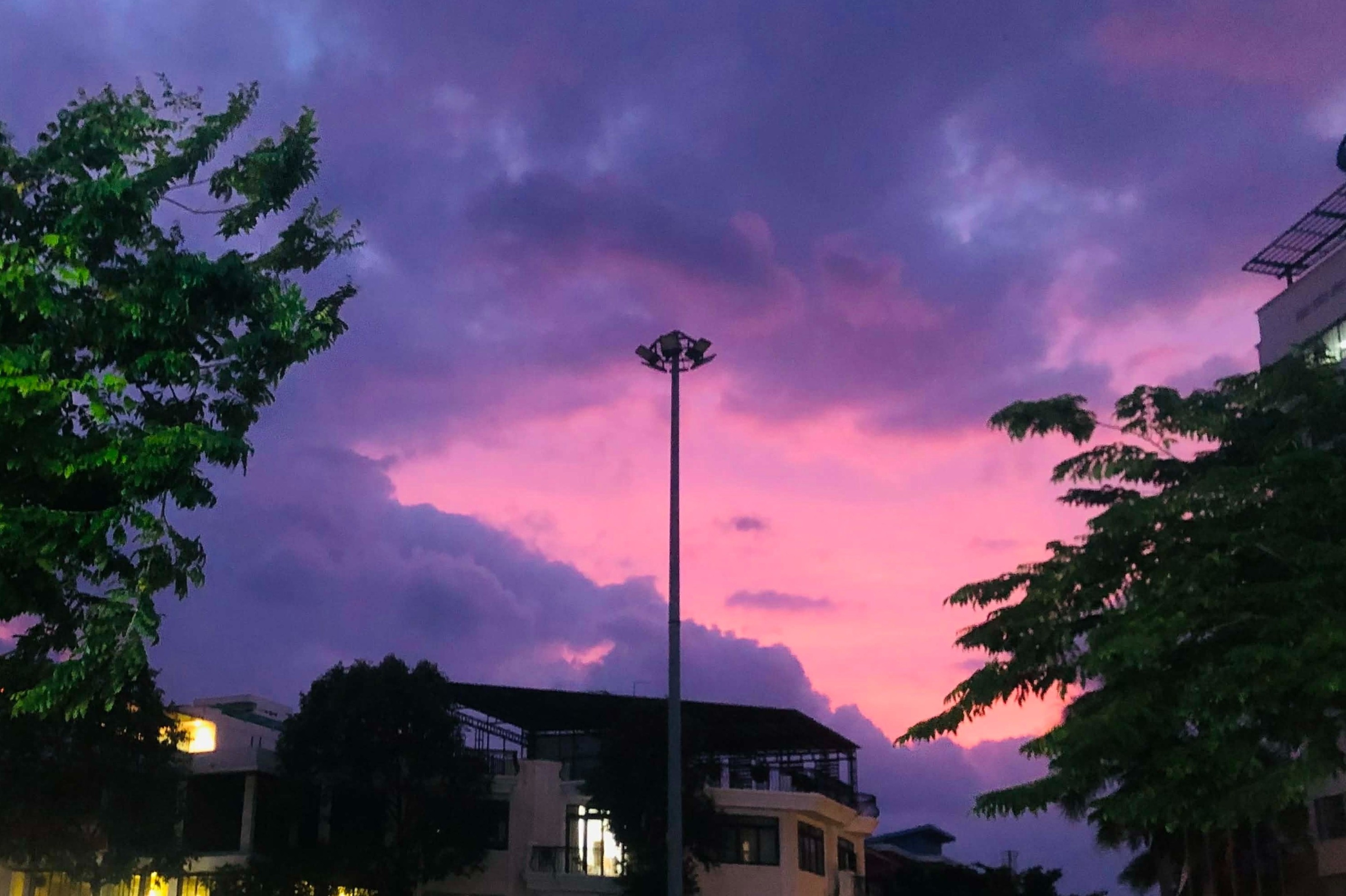 Video bau troi tim tai Nha Trang gay sot hinh anh