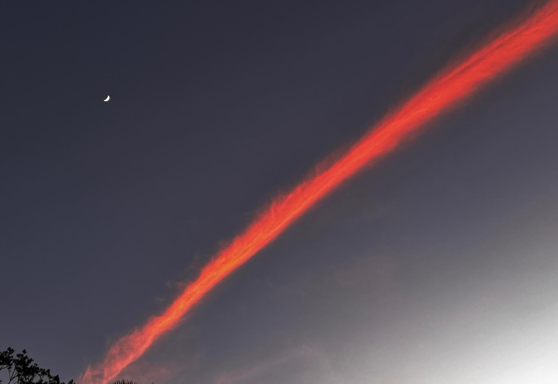 Dai may hong vat ngang tren bau troi Hong Kong trong vu chay lich su hinh anh