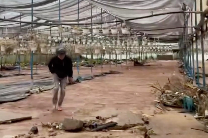 Vuon sen da tien ty 'bay mau' trong choc lat vi lu du o Da Lat hinh anh