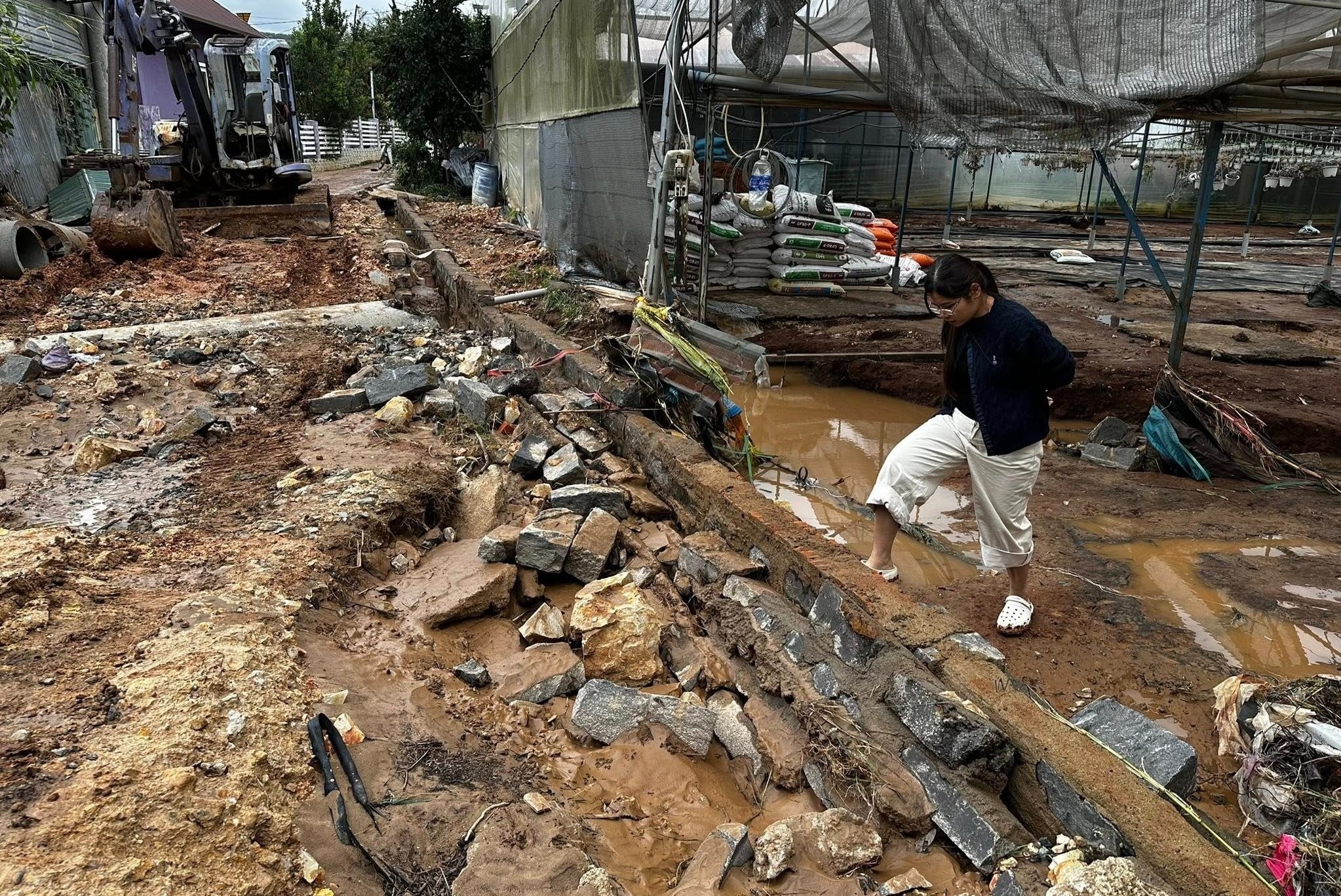 Vuon sen da tien ty 'bay mau' trong choc lat vi lu du o Da Lat hinh anh