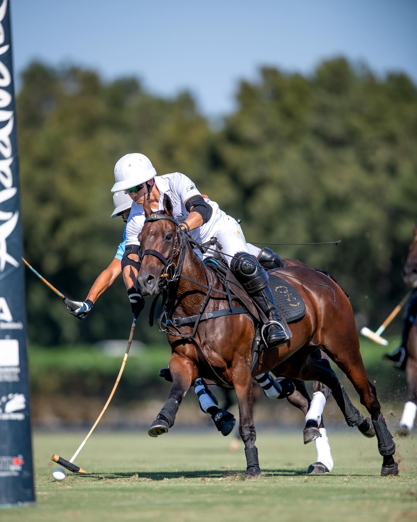 hoang tu chau A anh 7