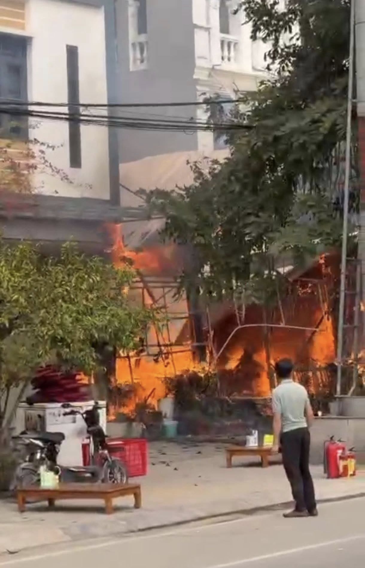 Chay quan thit cho anh 2