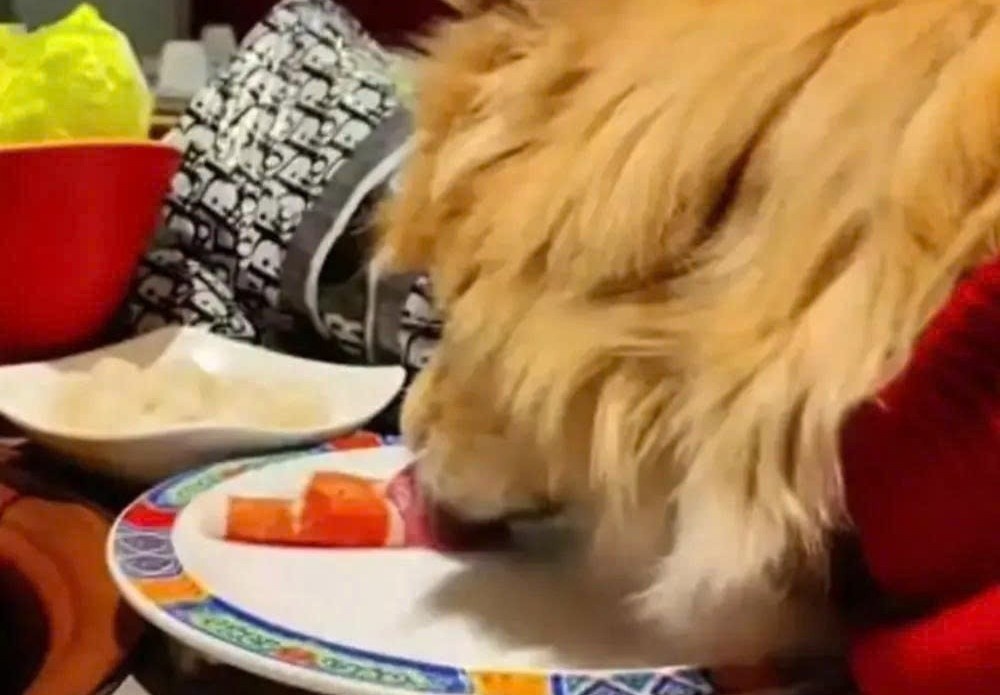 Kiep nan cua nha hang TQ khi khach dang clip cho an tren dia hinh anh