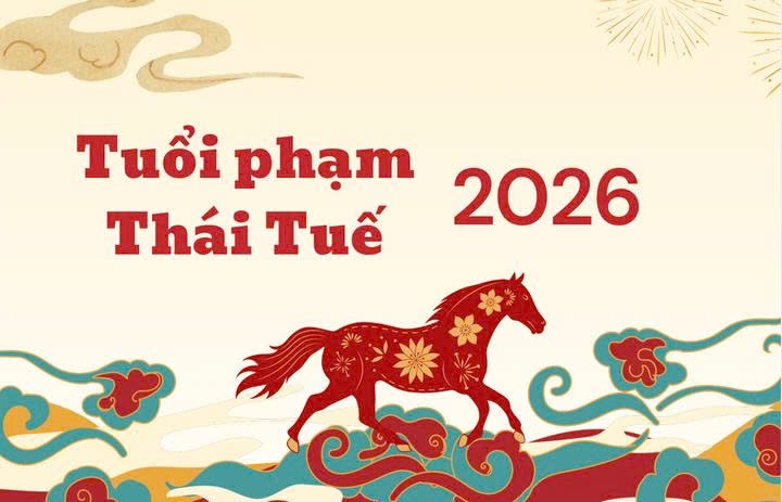 tam tai va thai tue anh 2