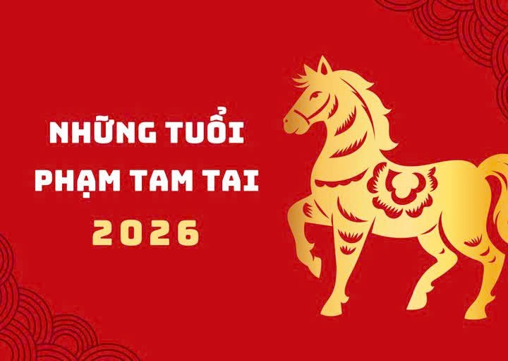 tam tai va thai tue anh 1