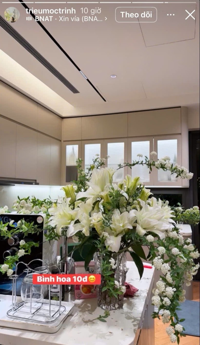 cơ ngơi bạc tỷ ảnh 10 co ngoi bac ty anh 10