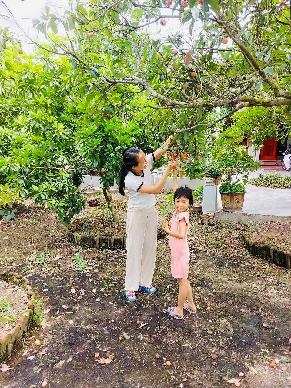 nghi he anh 4