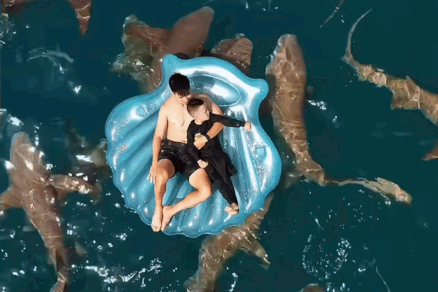 Duy Manh dua vo, con di Maldives ngam ca map hinh anh