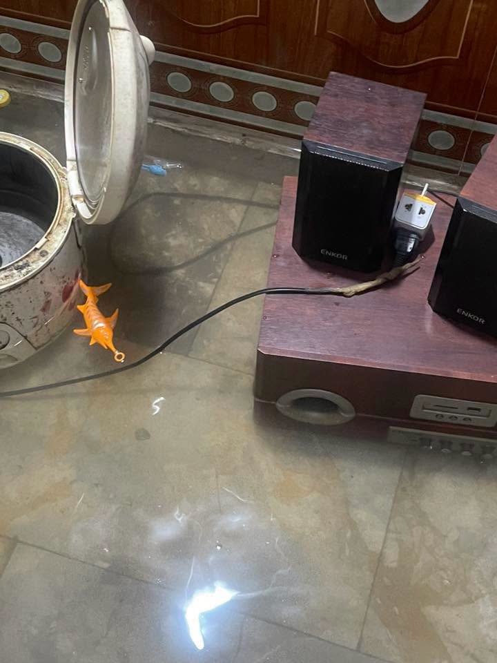 ngap anh 2