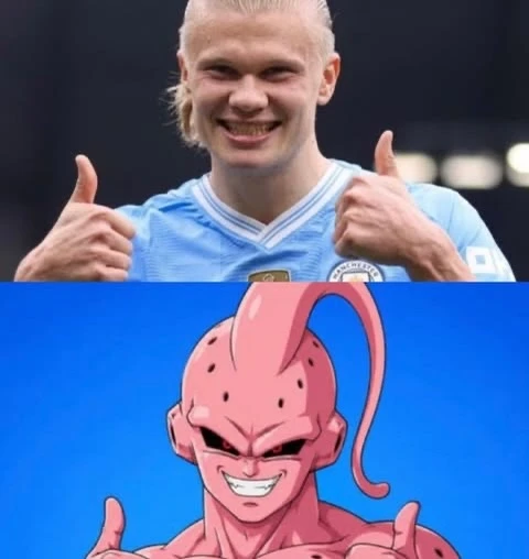 Haaland ảnh 3 Haaland anh 3