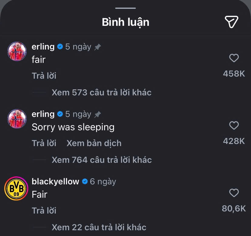 Haaland ảnh 2 Haaland ảnh 2