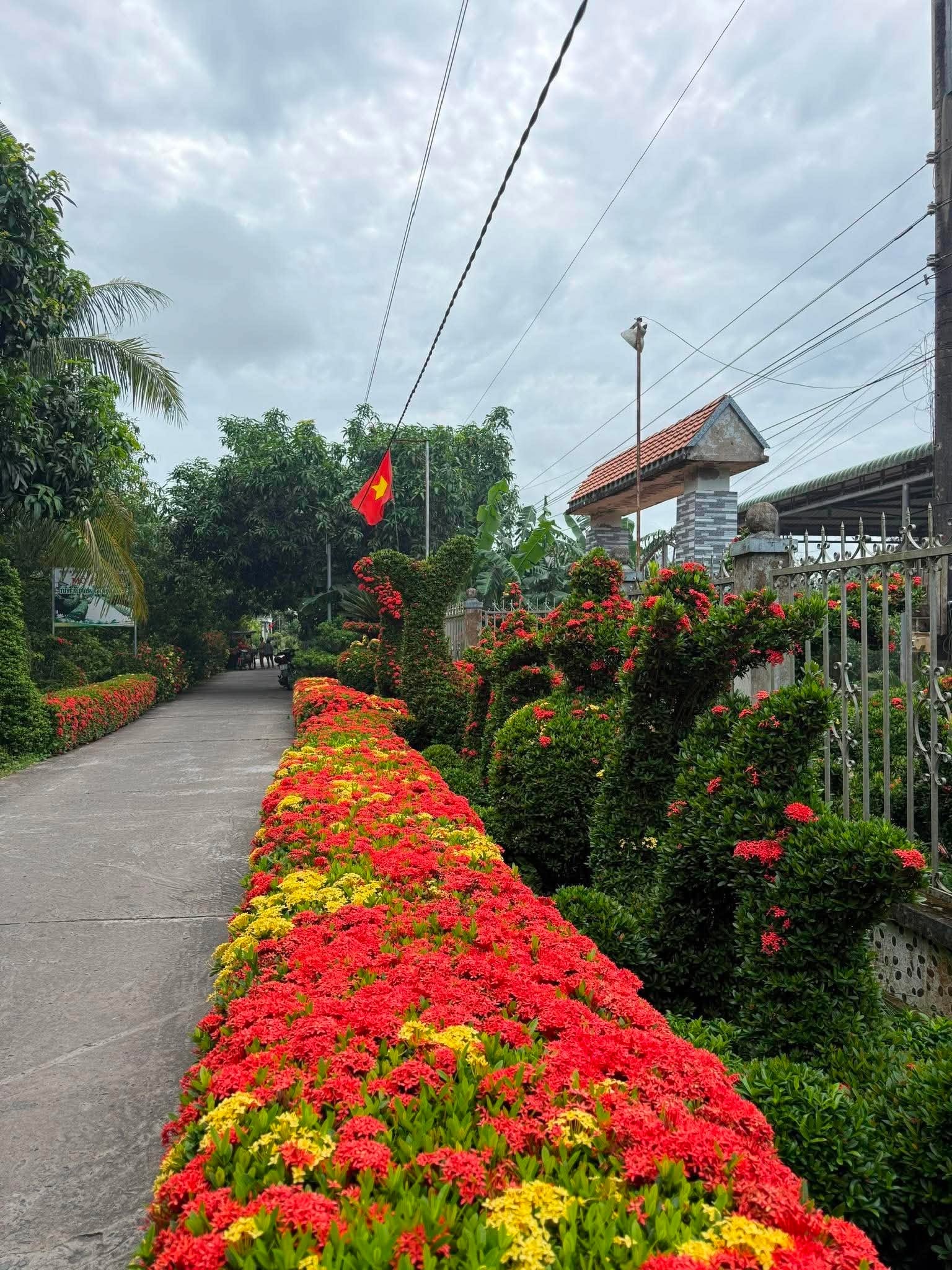 d&agrave;n b&ocirc;ng ảnh 5