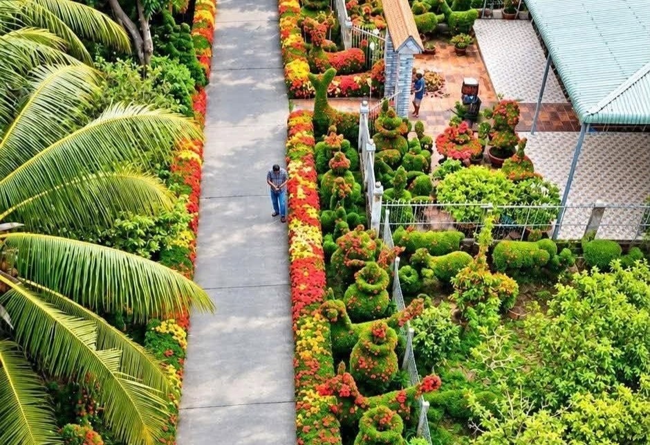 Lão nông miền Tây dành 9 năm trồng hàng rào bông đẹp như tranh vẽ
