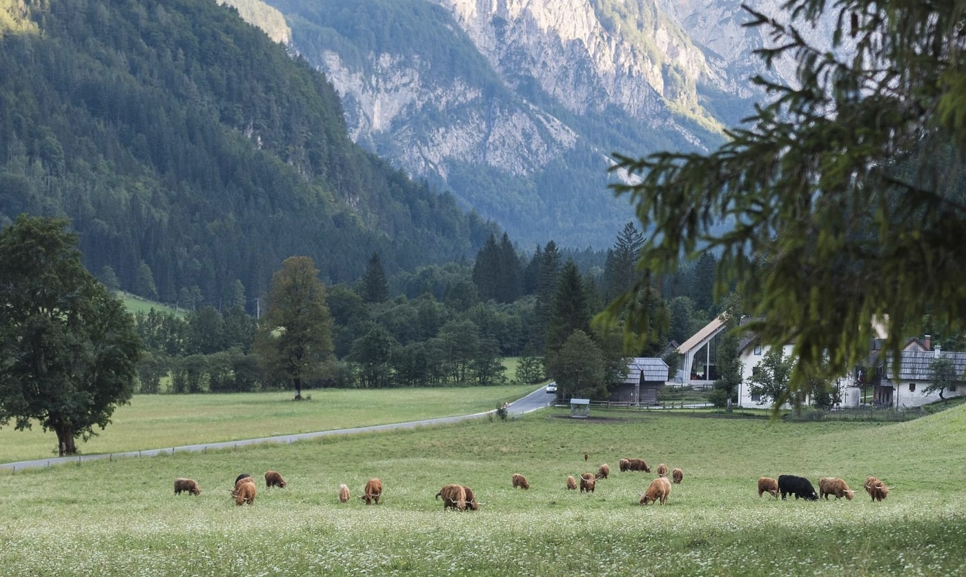 kham pha cac dinh nui chau Au,  ve dep nui non chau Au,  du lich chau Au anh 2