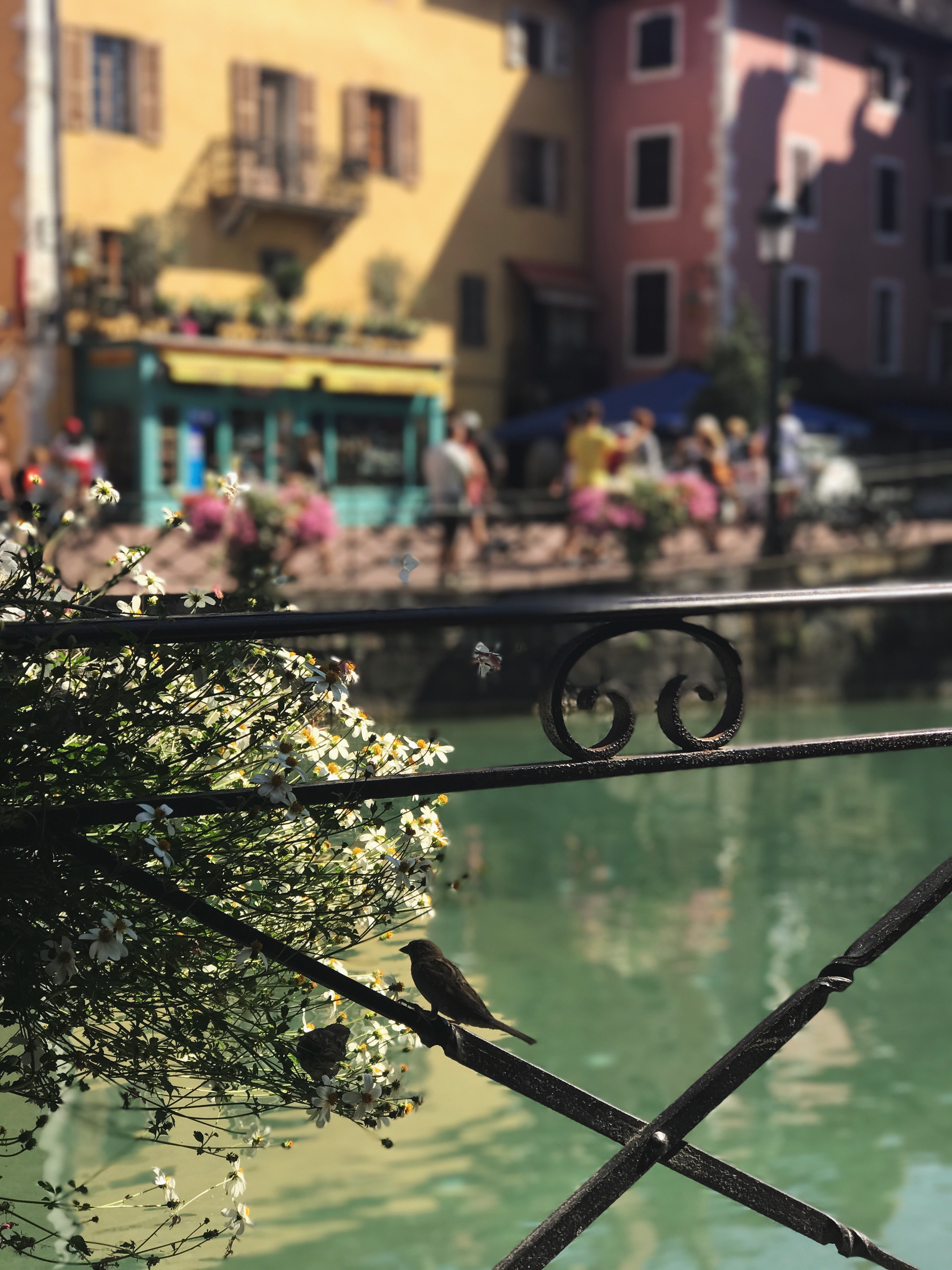 khám phá Annecy ảnh 10 kham pha Annecy anh 10