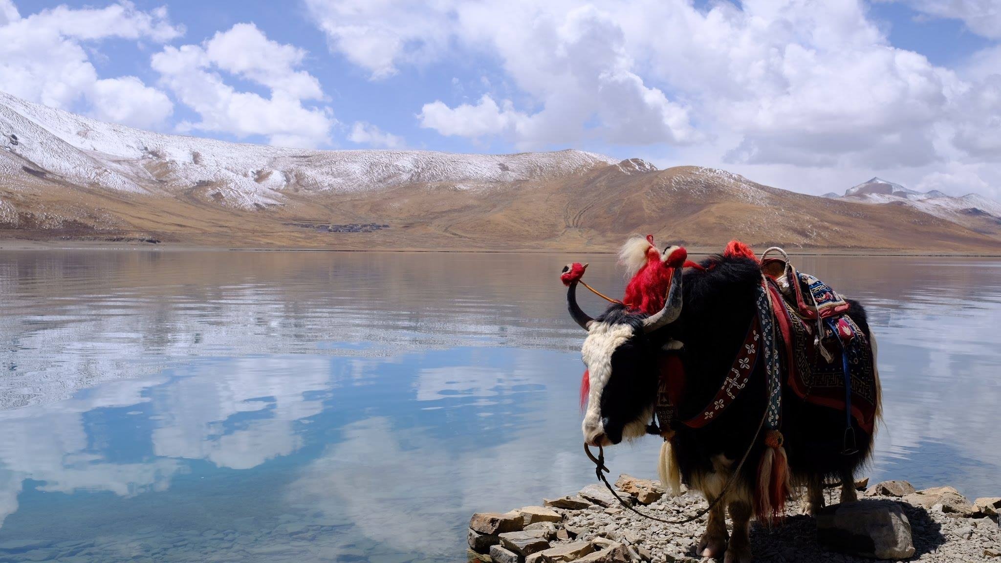 du lịch Tây Tạng ảnh 13 du lich Tay Tang anh 13