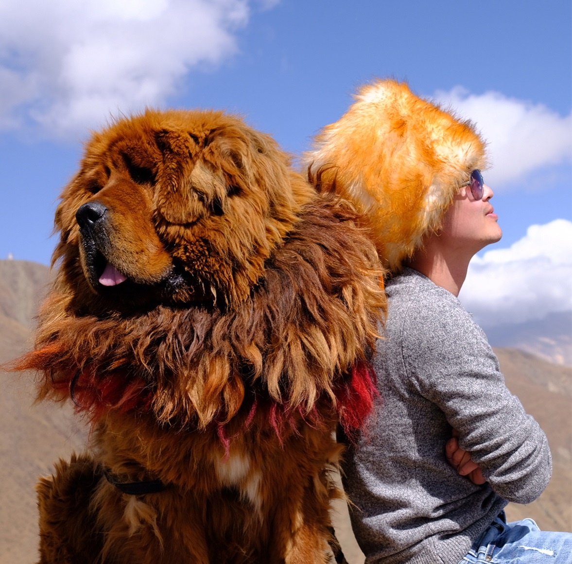 du lịch Tây Tạng ảnh 18 du lich Tay Tang anh 18