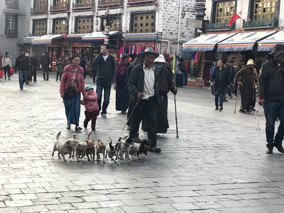 du lịch Tây Tạng ảnh 4 du lich Tay Tang anh 4