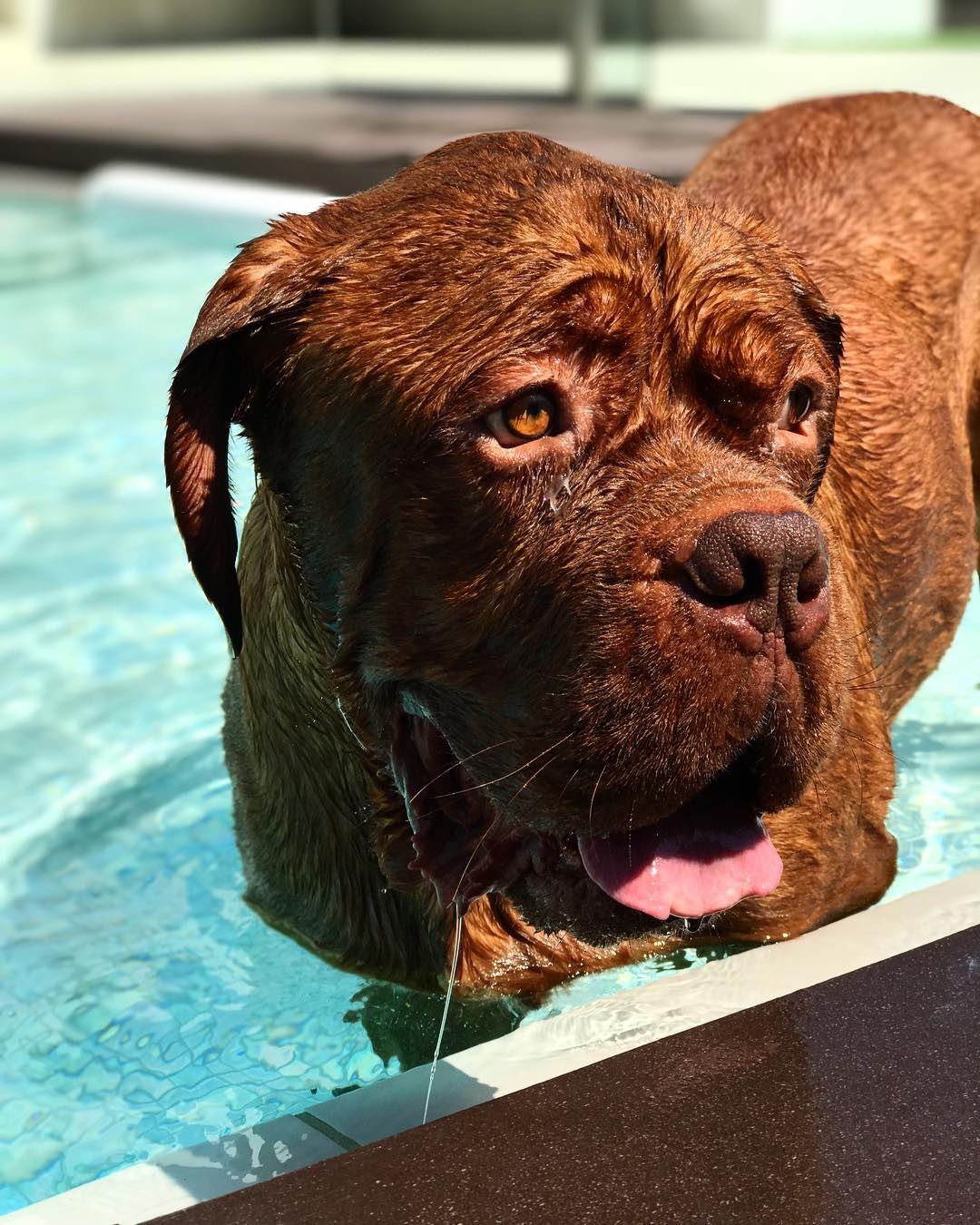 Chuyen du lich cua Messi anh 7