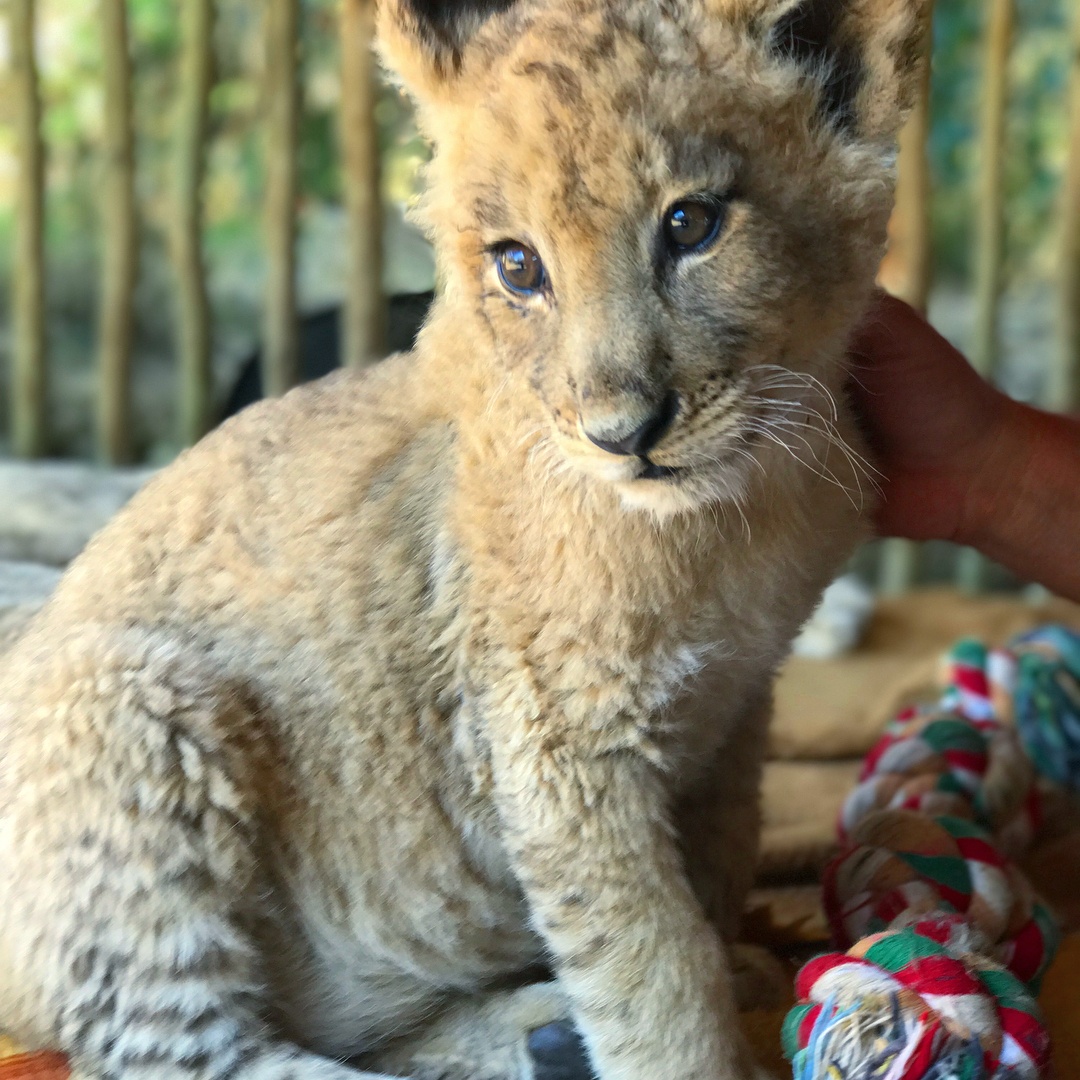 Neymar di du lich anh 21