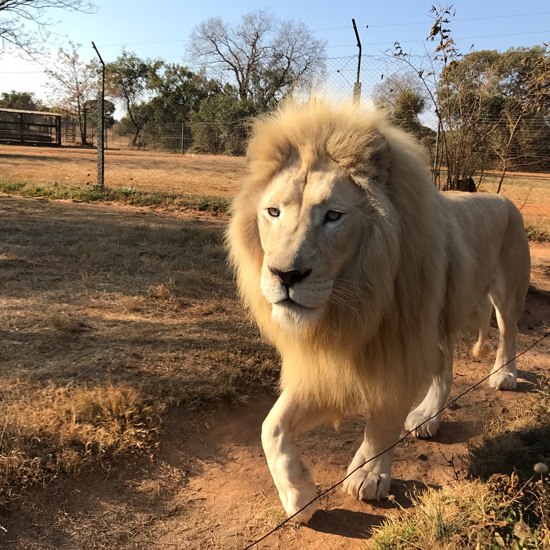 Neymar di du lich anh 22