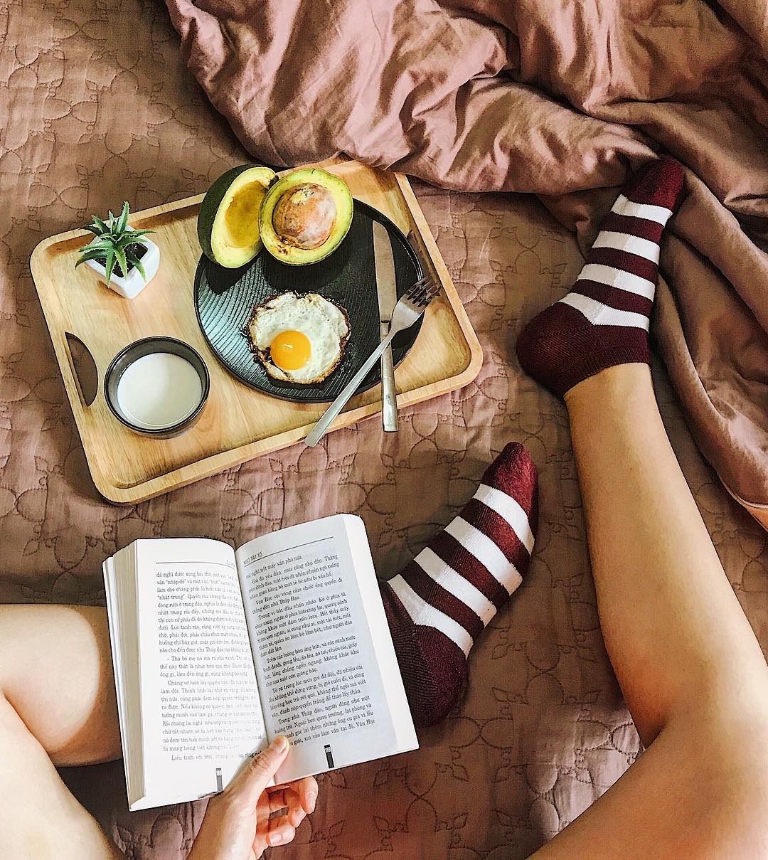 an dep cung Ha Truc anh 16