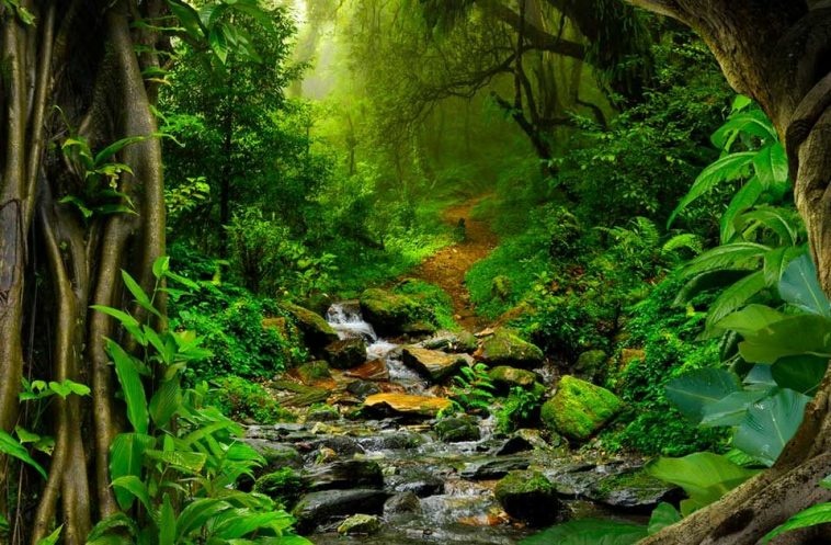 Du lịch Brazil ảnh 28 Du lich Brazil anh 28