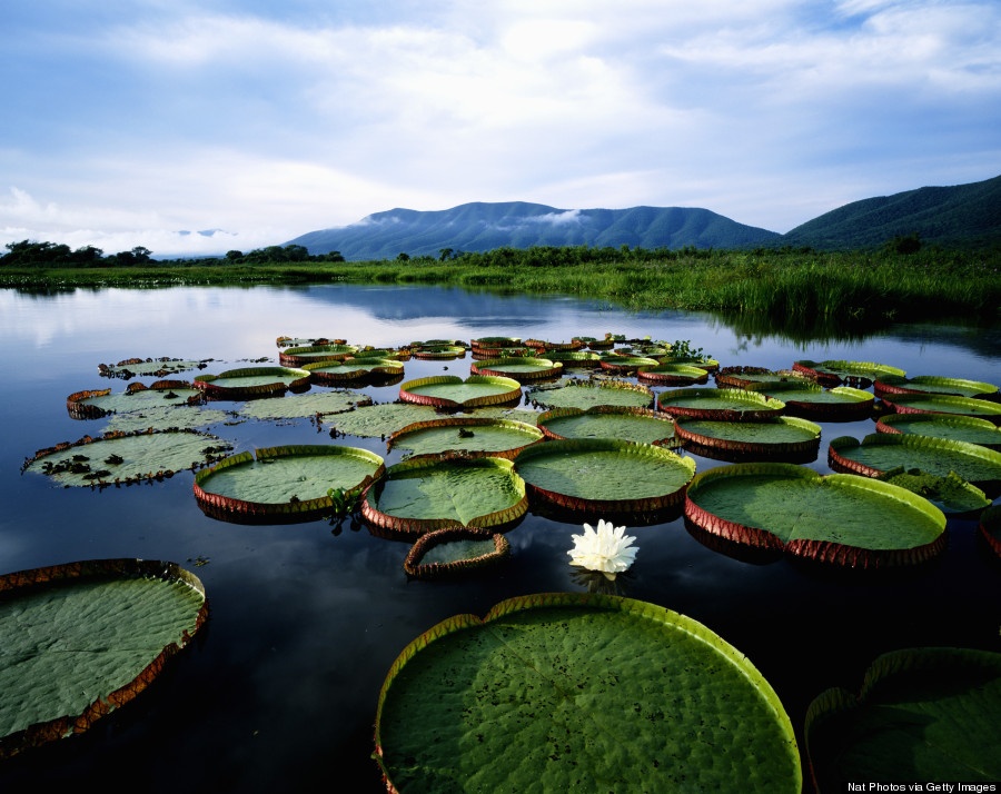 Du lịch Brazil ảnh 22 Du lich Brazil anh 22
