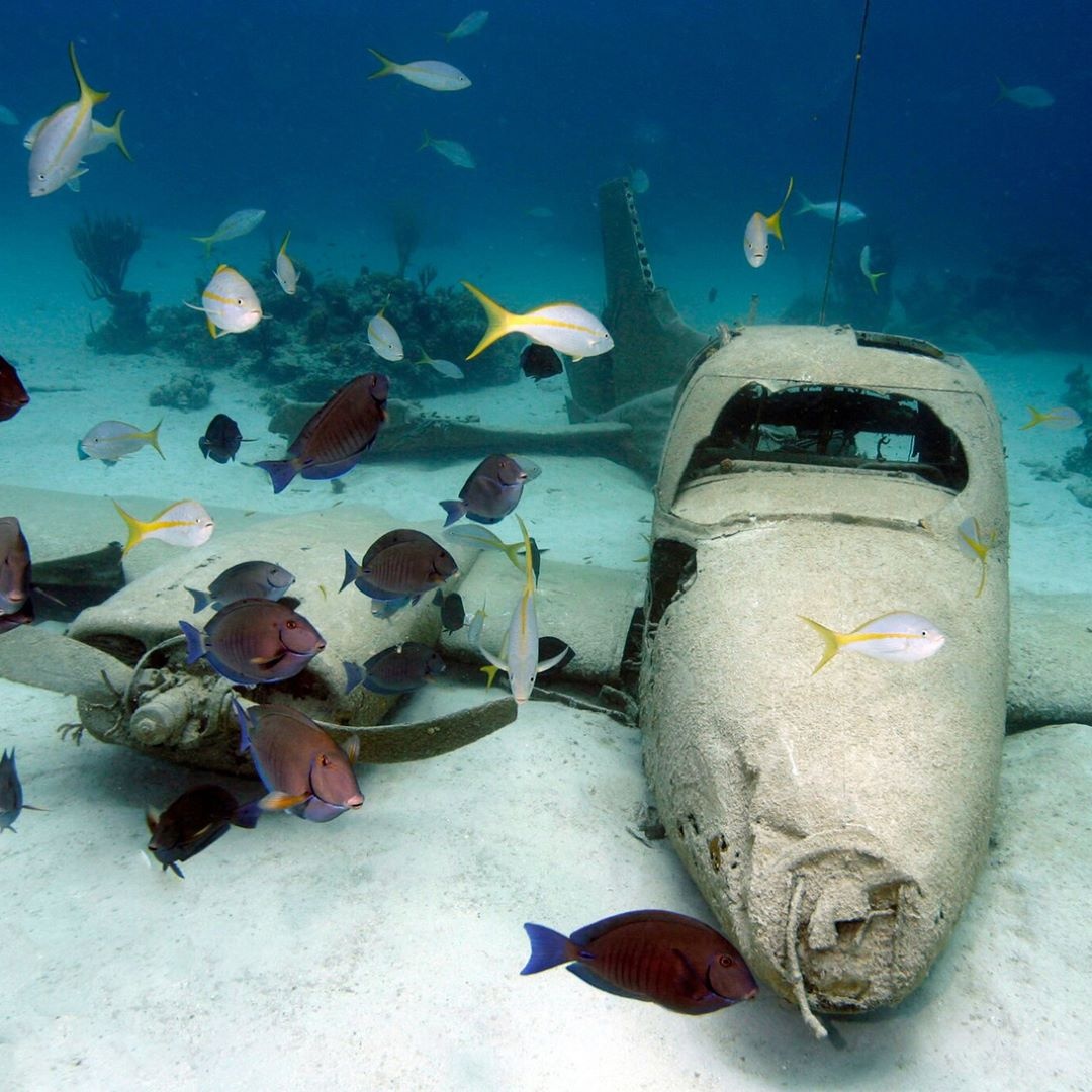 du lich dao lon Bahamas anh 8