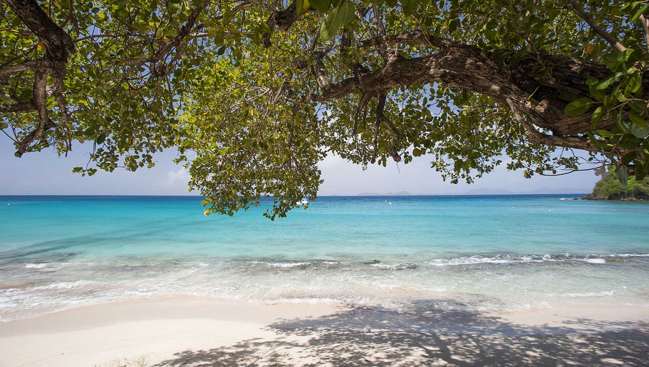 đảo Mustique thiên đường nghỉ dưỡng của Hoàng gia Anh ảnh 8 dao Mustique thien duong nghi duong cua Hoang gia Anh anh 8