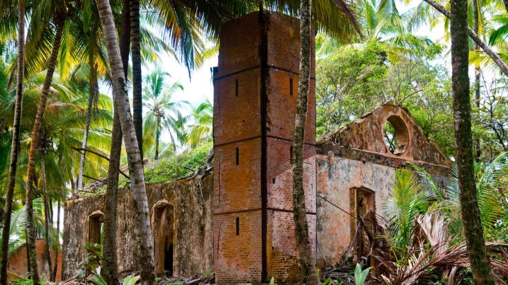 dao tu Spike o Ireland anh 13